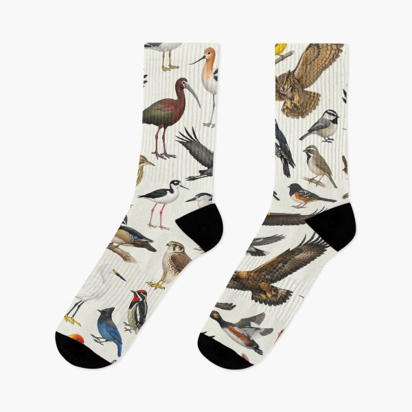 Item preview, Native Birds of Utah Retro Identification Chart designed and sold by kakarikihill.