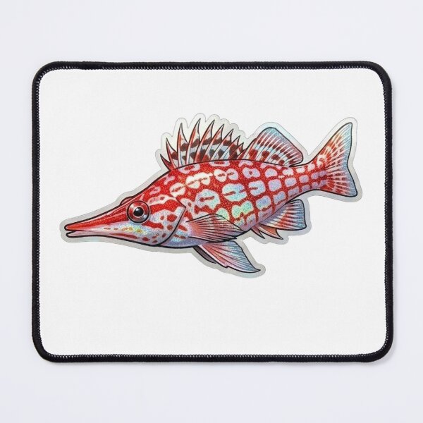 Item preview, Colorful Hogfish Reef Fish Illustration designed and sold by KenworksDigital.