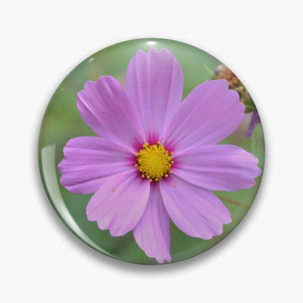 Item preview, Pink Cosmos Flower with Yellow Center designed and sold by MiraNadaPrints.