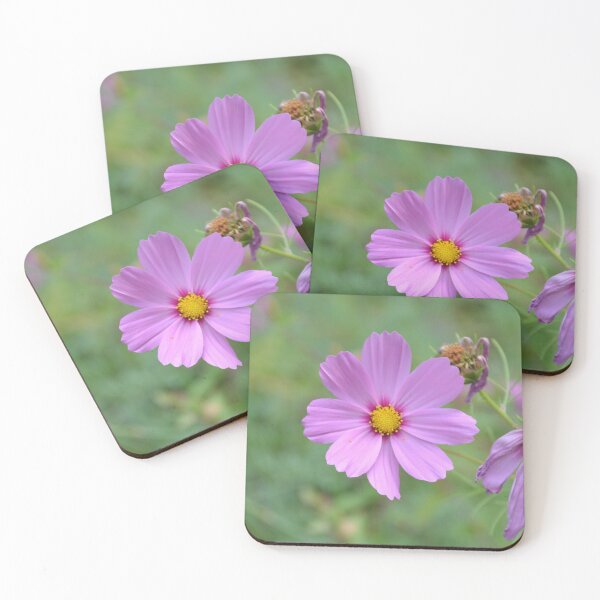 Item preview, Pink Cosmos Flower with Yellow Center designed and sold by MiraNadaPrints.