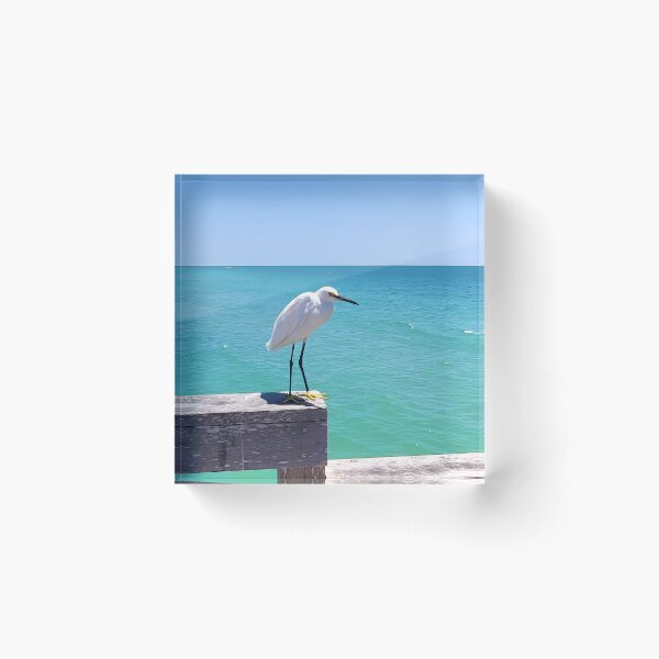 Item preview, Egret, original photo designed and sold by Flaunting Florida.