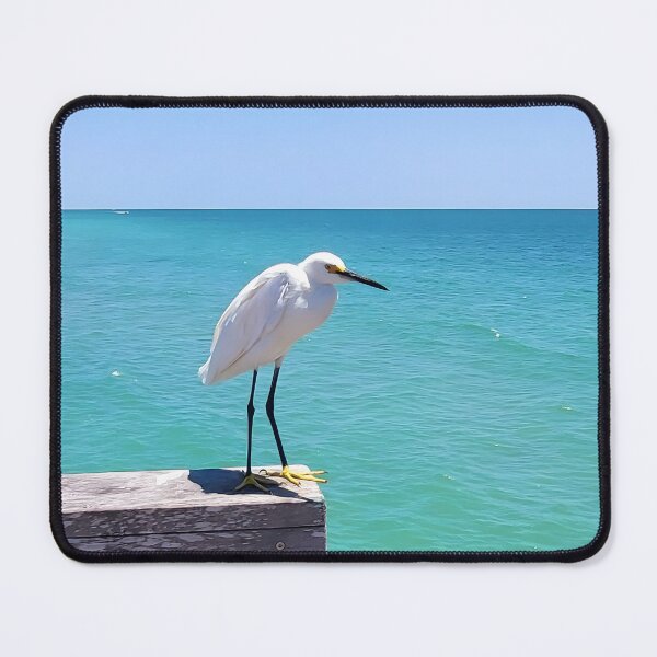 Item preview, Egret, original photo designed and sold by Flaunting Florida.