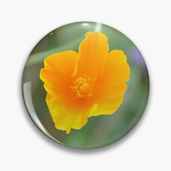 Item preview, Drooping Golden California Poppy on Stem designed and sold by MiraNadaPrints.