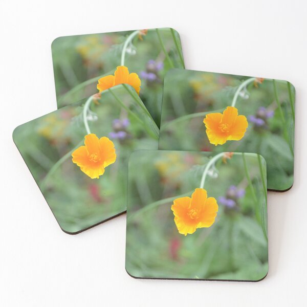 Item preview, Drooping Golden California Poppy on Stem designed and sold by MiraNadaPrints.