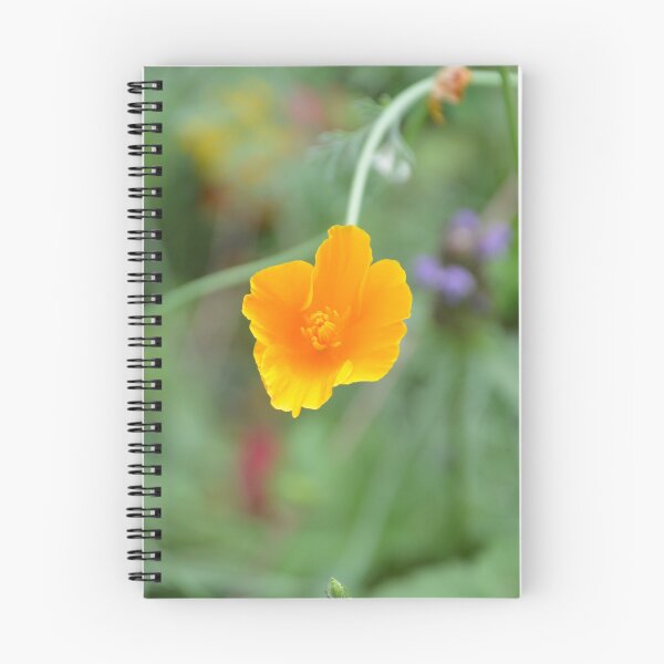 Item preview, Drooping Golden California Poppy on Stem designed and sold by MiraNadaPrints.