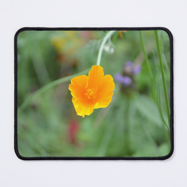 Item preview, Drooping Golden California Poppy on Stem designed and sold by MiraNadaPrints.