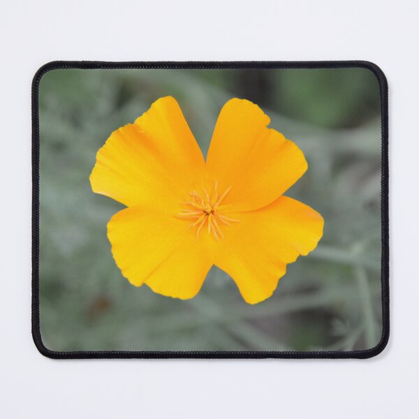 Item preview, Golden California Poppy Top View designed and sold by MiraNadaPrints.