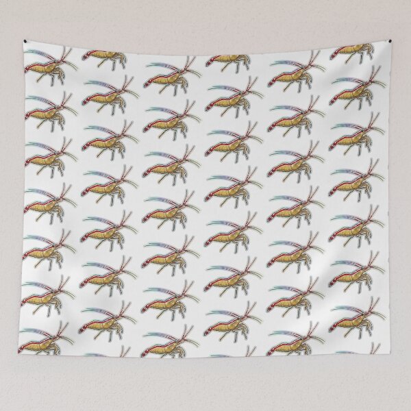 Item preview, Cleaner Shrimp Colorful Reef Aquarium Illustration designed and sold by KenworksDigital.