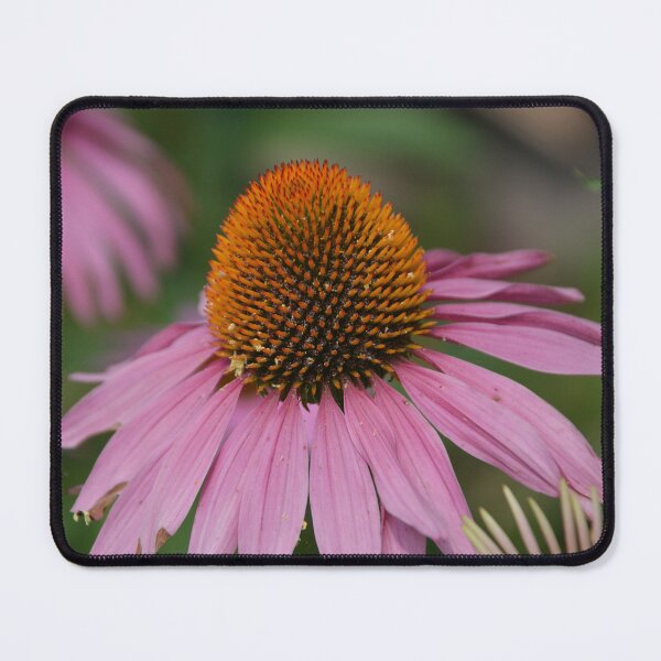 Item preview, Vibrant Pink Coneflower Macro Close Up designed and sold by MiraNadaPrints.