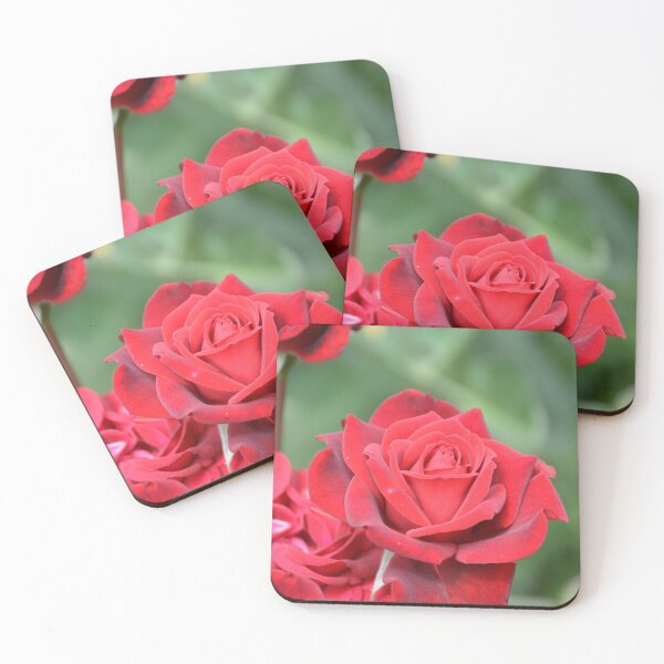 Item preview, Rich Crimson Red Rose in Full Bloom designed and sold by MiraNadaPrints.