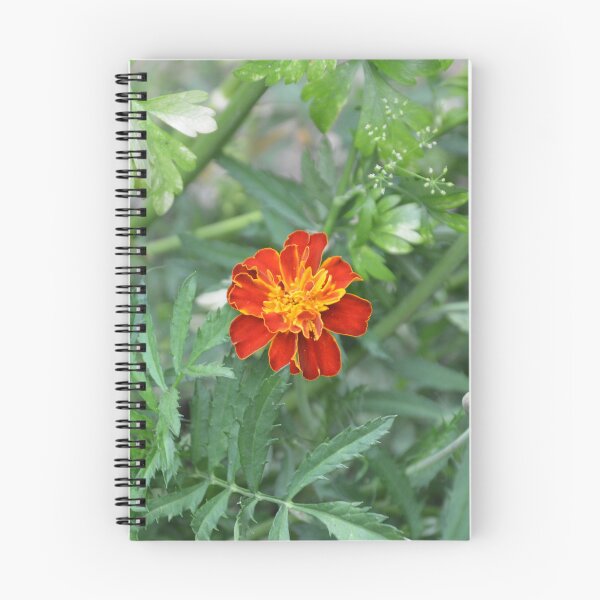 Item preview, Bright Red French Marigold in Green Foliage designed and sold by MiraNadaPrints.