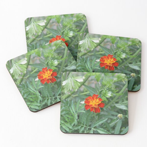 Item preview, Bright Red French Marigold in Green Foliage designed and sold by MiraNadaPrints.
