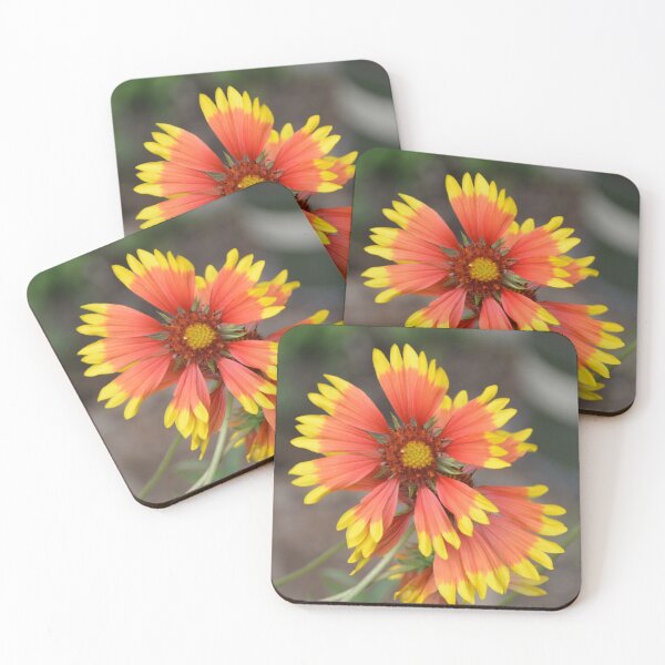 Item preview, Fiery Orange Blanket Flower Overhead View designed and sold by MiraNadaPrints.