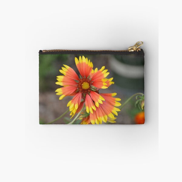 Item preview, Fiery Orange Blanket Flower Overhead View designed and sold by MiraNadaPrints.