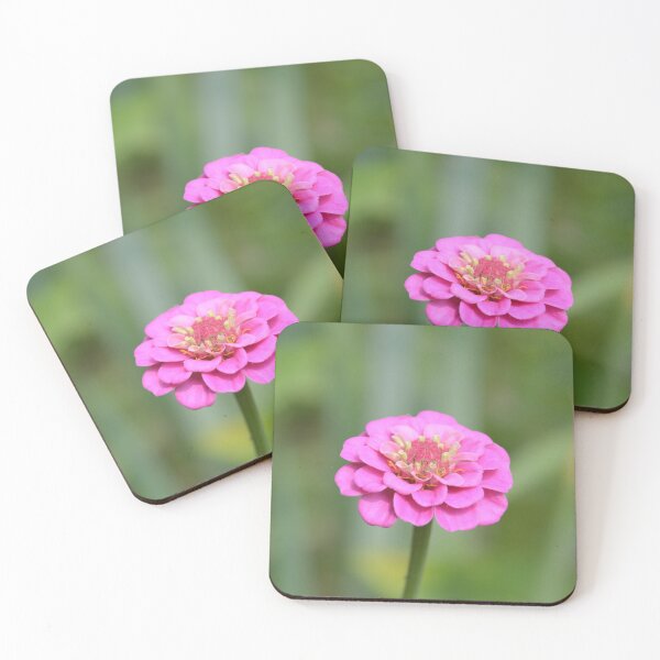 Item preview, Charming Pink Zinnia Bloom on Stem designed and sold by MiraNadaPrints.