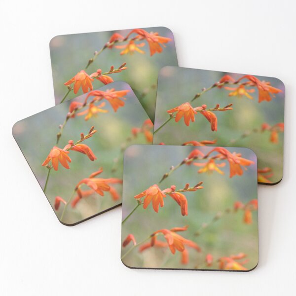 Item preview, Bright Orange Crocosmia Flowers Selective Focus designed and sold by MiraNadaPrints.