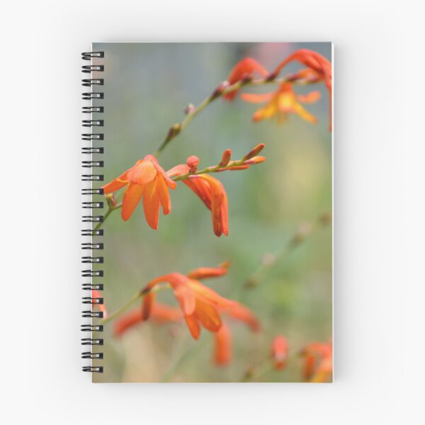Item preview, Bright Orange Crocosmia Flowers Selective Focus designed and sold by MiraNadaPrints.