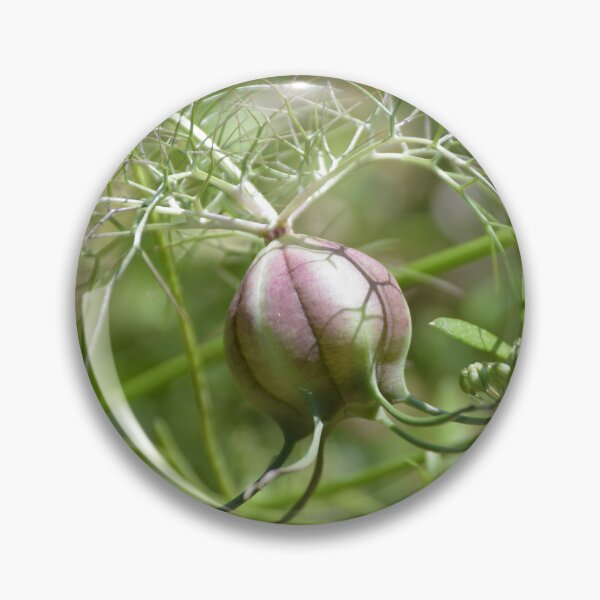 Item preview, Swollen Nigella Seed Pod in Foliage designed and sold by MiraNadaPrints.
