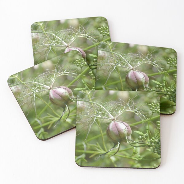 Item preview, Swollen Nigella Seed Pod in Foliage designed and sold by MiraNadaPrints.