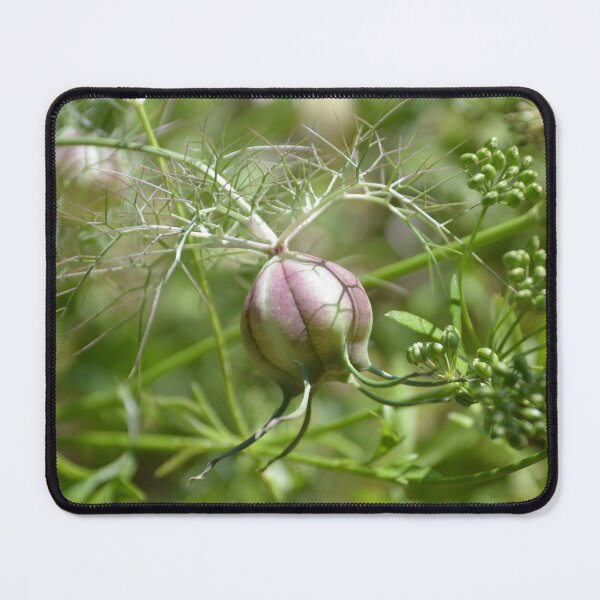 Item preview, Swollen Nigella Seed Pod in Foliage designed and sold by MiraNadaPrints.