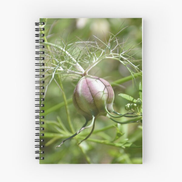 Item preview, Swollen Nigella Seed Pod in Foliage designed and sold by MiraNadaPrints.