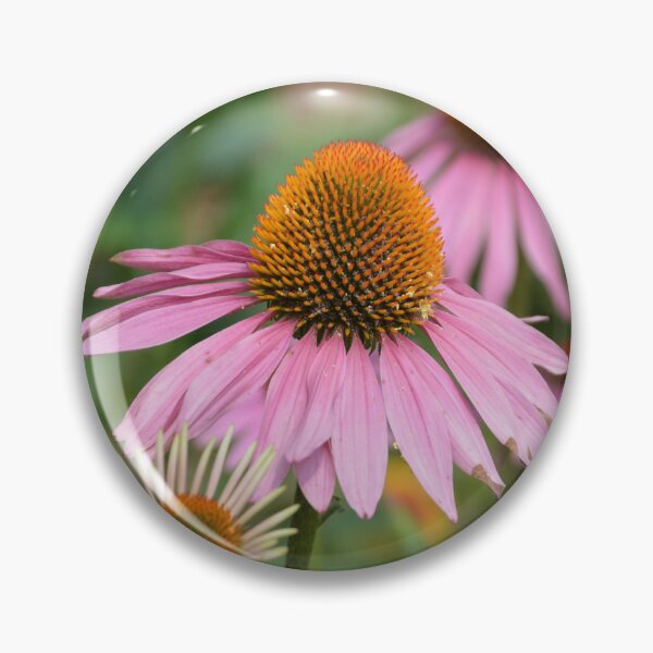 Item preview, Purple Coneflowers Blooming in Summer Garden designed and sold by MiraNadaPrints.