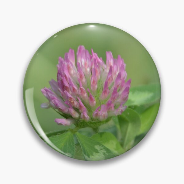 Item preview, Blooming Pink Red Clover Flower Macro designed and sold by MiraNadaPrints.