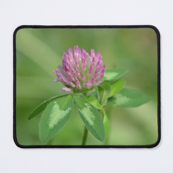 Item preview, Blooming Pink Red Clover Flower Macro designed and sold by MiraNadaPrints.