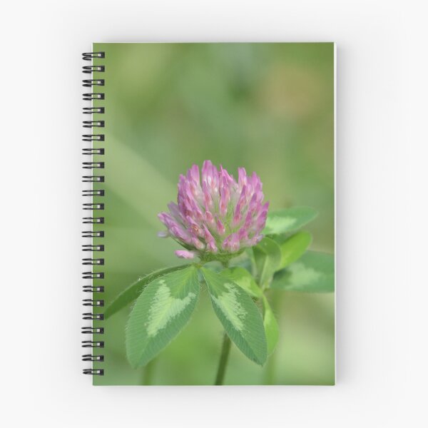 Item preview, Blooming Pink Red Clover Flower Macro designed and sold by MiraNadaPrints.