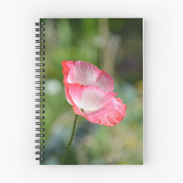 Item preview, Translucent Pink Poppy Petals Side Profile designed and sold by MiraNadaPrints.