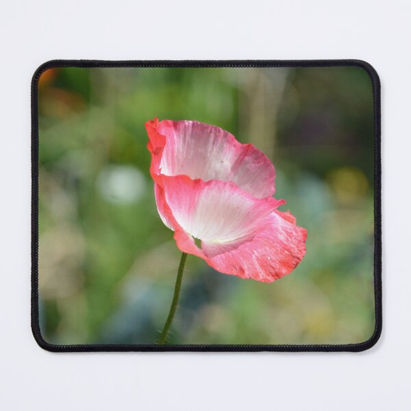 Item preview, Translucent Pink Poppy Petals Side Profile designed and sold by MiraNadaPrints.