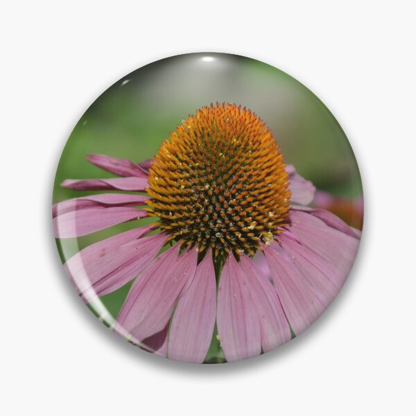 Item preview, Purple Coneflower Detail in Sunlit Garden designed and sold by MiraNadaPrints.