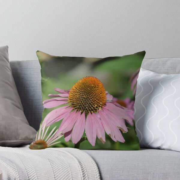 Item preview, Purple Coneflower Detail in Sunlit Garden designed and sold by MiraNadaPrints.