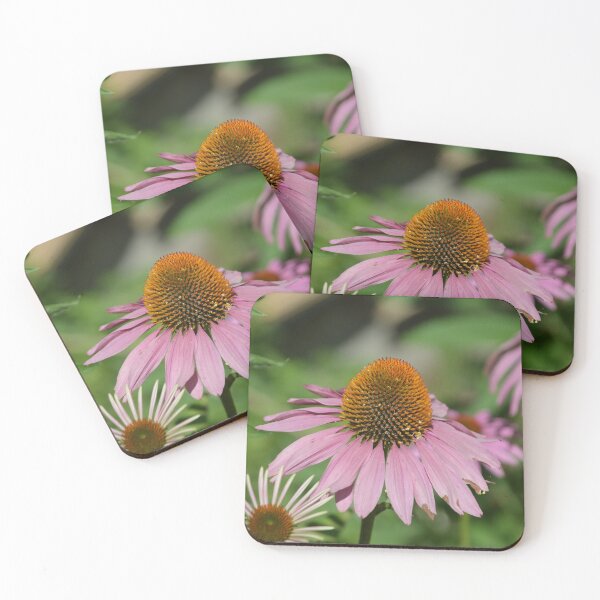 Item preview, Purple Coneflower Detail in Sunlit Garden designed and sold by MiraNadaPrints.