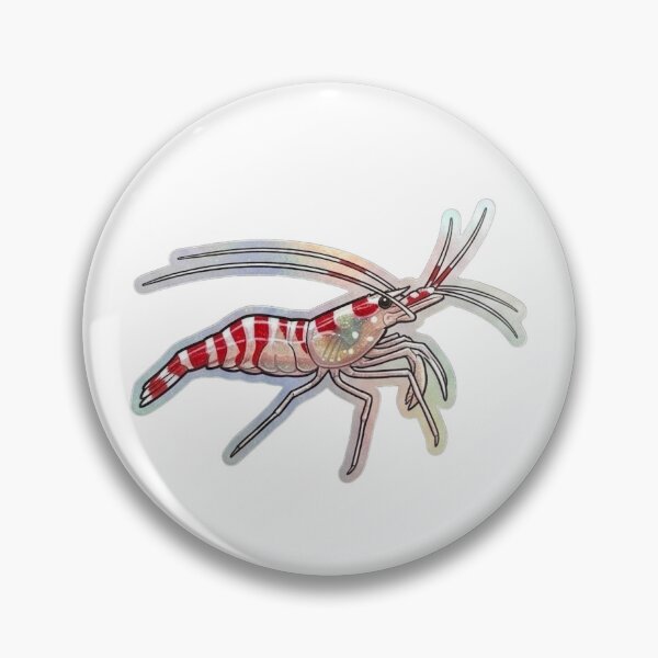 Item preview, Candy Cane Shrimp Red White Reef Illustration designed and sold by KenworksDigital.