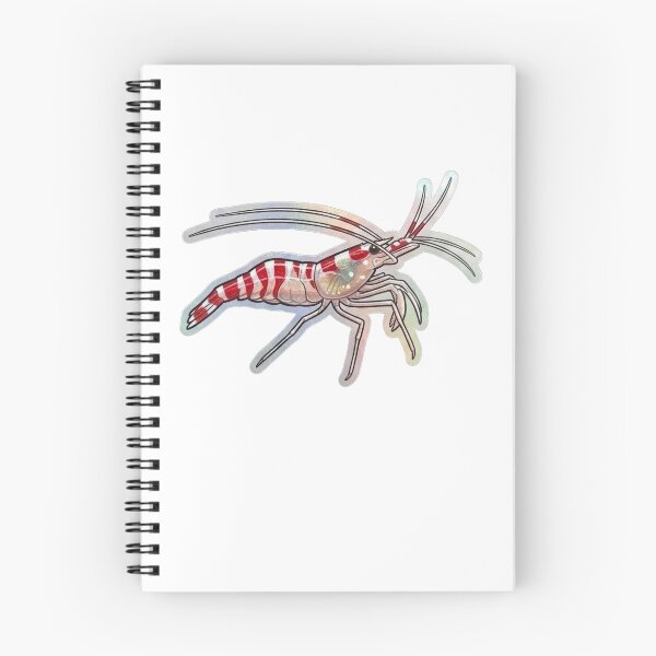 Item preview, Candy Cane Shrimp Red White Reef Illustration designed and sold by KenworksDigital.
