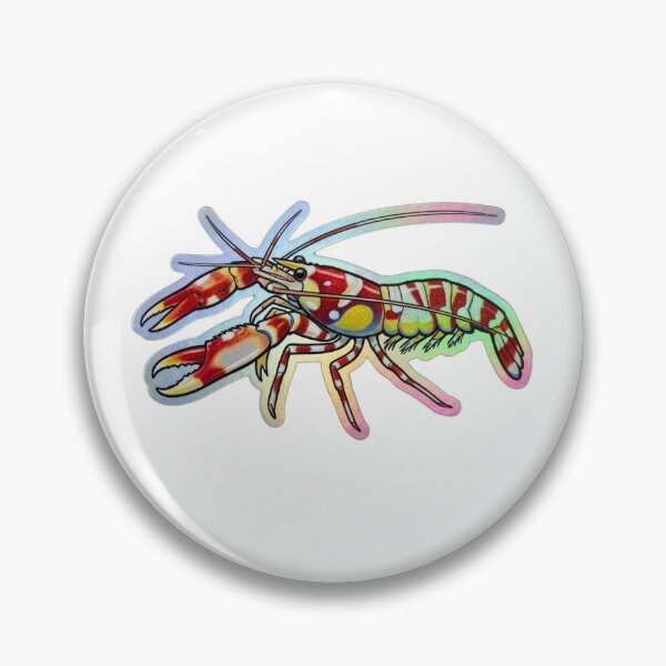 Item preview, Colorful Pistol Shrimp Reef Aquarium Illustration designed and sold by KenworksDigital.