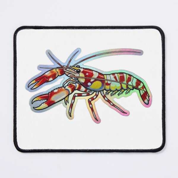 Item preview, Colorful Pistol Shrimp Reef Aquarium Illustration designed and sold by KenworksDigital.