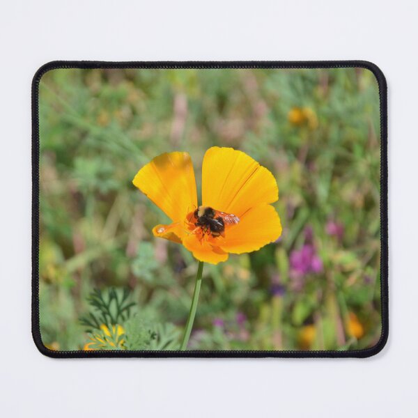 Item preview, Bumblebee Foraging on Golden California Poppy designed and sold by MiraNadaPrints.