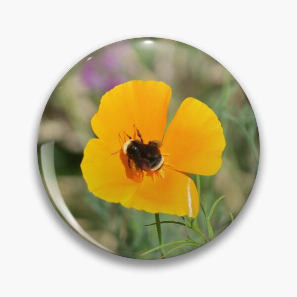 Item preview, Bumblebee Pollinating Poppy in Wild Meadow designed and sold by MiraNadaPrints.
