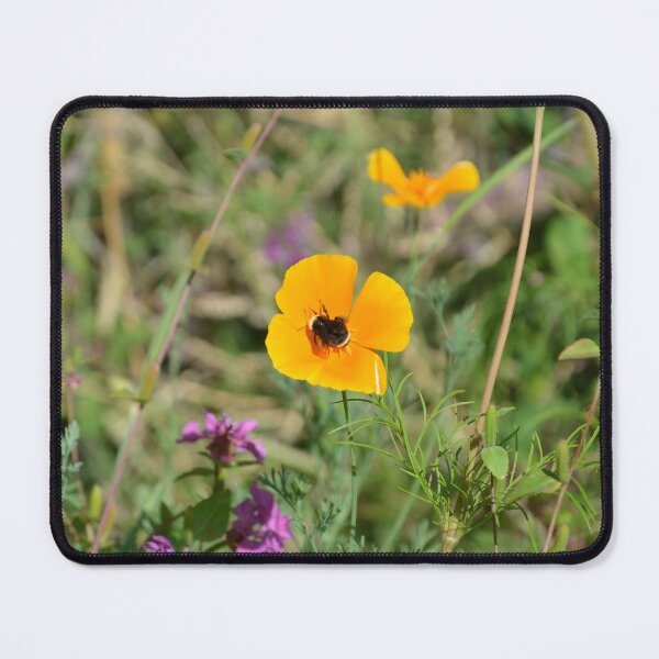 Item preview, Bumblebee Pollinating Poppy in Wild Meadow designed and sold by MiraNadaPrints.