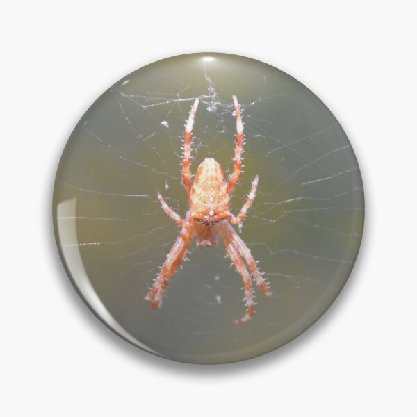 Item preview, Cross Orb Weaver Spider in Center Web designed and sold by MiraNadaPrints.