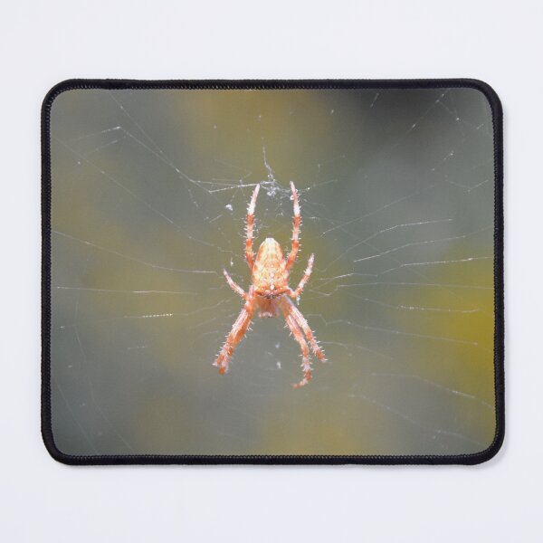 Item preview, Cross Orb Weaver Spider in Center Web designed and sold by MiraNadaPrints.