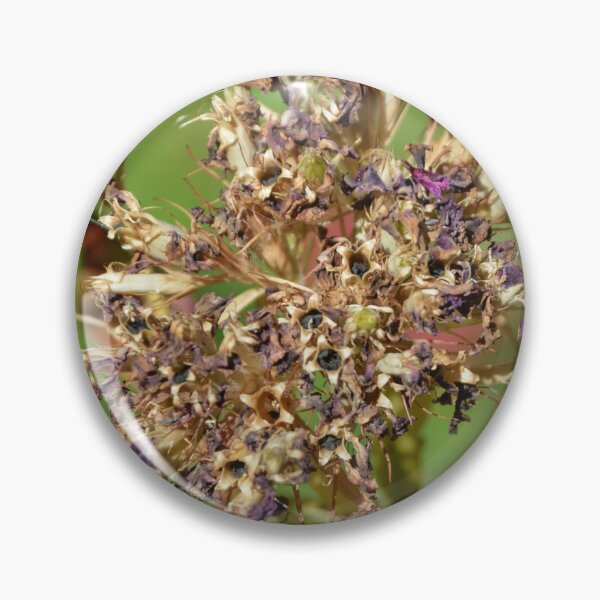 Item preview, Dried Flower Seed Heads in Late Summer designed and sold by MiraNadaPrints.