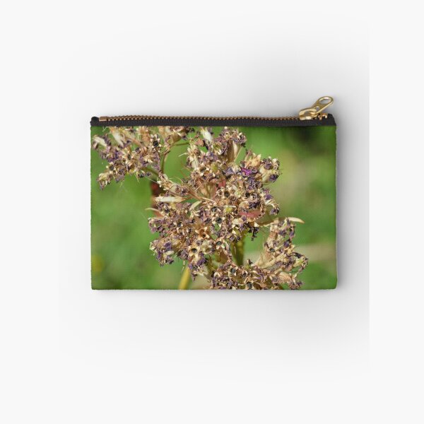 Item preview, Dried Flower Seed Heads in Late Summer designed and sold by MiraNadaPrints.