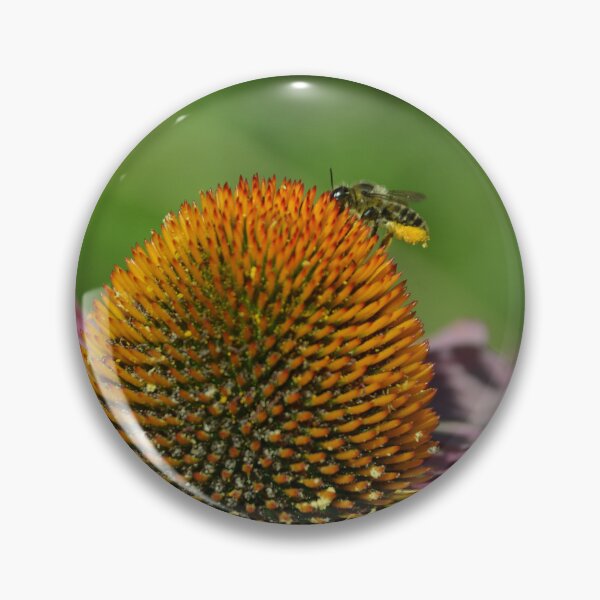 Item preview, Bee Gathering Pollen atop Coneflower designed and sold by MiraNadaPrints.