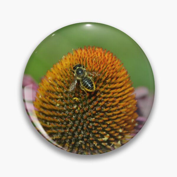 Item preview, Pollinator Bee on Coneflower designed and sold by MiraNadaPrints.