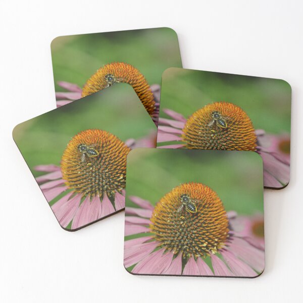 Item preview, Abeja polinizadora en equinácea designed and sold by MiraNadaPrints.