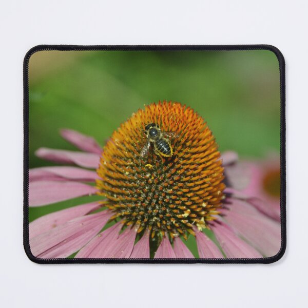 Item preview, Pollinator Bee on Coneflower designed and sold by MiraNadaPrints.