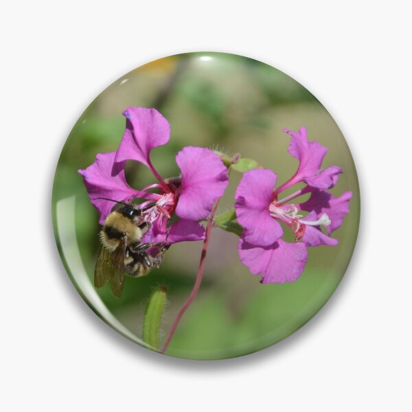Item preview, Bumblebee Pollinating Magenta Fireweed Flowers designed and sold by MiraNadaPrints.